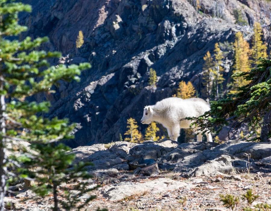 Dark Sky Coffee