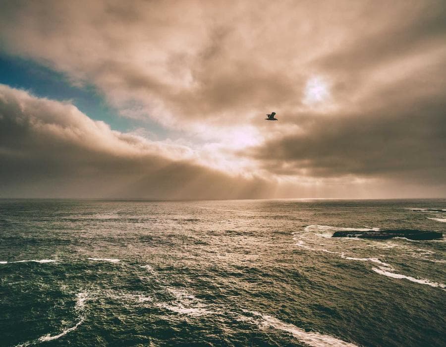 Grand Central Hotel & Grill
