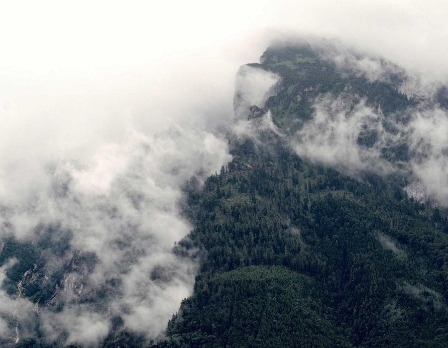 Louie's Grill & Bar