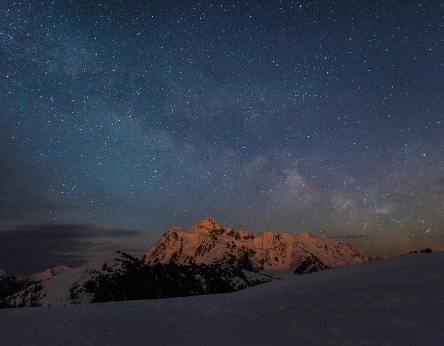 Rose Berry Picks