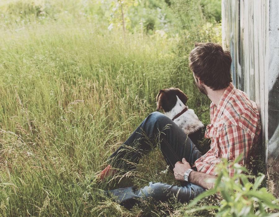 Steak & Main