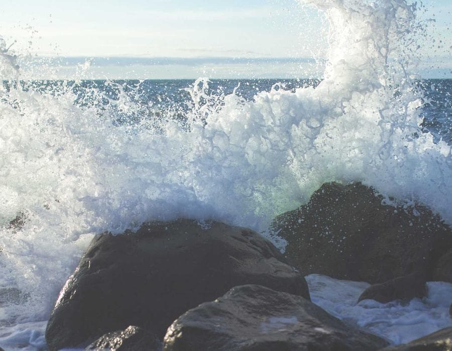 V2 Wine Bar Trattoria