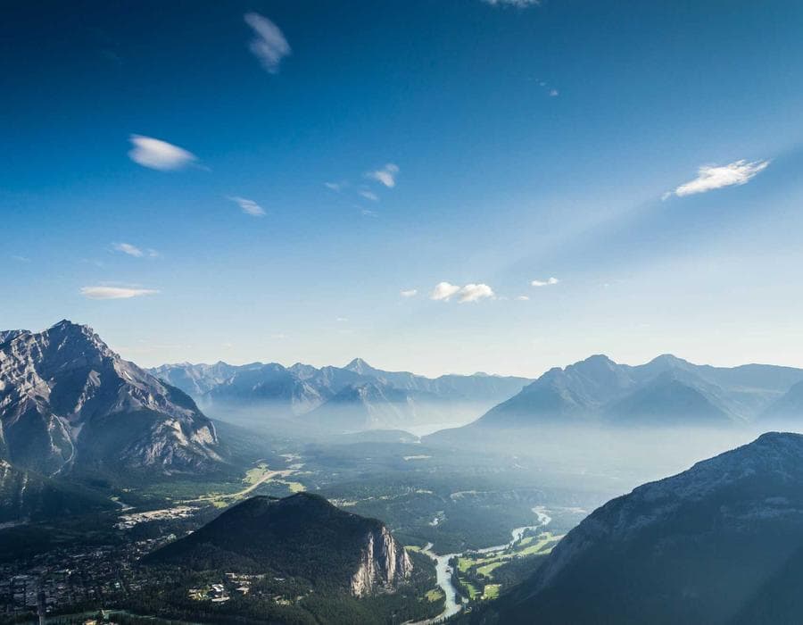 Vestige
